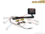 ECU Force Master 2 (I-Tech 4T Zylinder / 5518127) - MBK Evolis ABS 125i H2O 4T E4 ('17) - Malossi