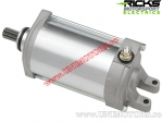 Electromotor - Bombardier / Can-AM DS 650 / DS 650 BajaX - (Rick's)