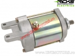 Electromotor - Bombardier DS 250 / Can-AM DS 250 ('06-'14) - (Rick's)