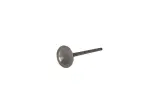 Engine Valve - Titanium - 09262600