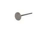Engine Valve - Titanium - 09262634