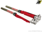 Ensemble de Protection de Joint de Fourche Rouge Blackbird Racing D: 45 - 50 mm - Version Longue - JM