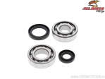 Ensemble de roulements / joints de vilebrequin - Suzuki RM250 ('82-'85) - All Balls