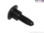 Ensemble de Vis de Carénage - Gilera / Piaggio (10 pcs.) - (RMS)