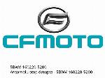 ENSEMBLE FEU ARRIÈRE DROIT - 5BWV-160220-5200 - CFMOTO