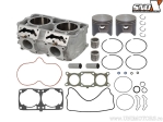 Ensemble moteur - Polaris Rush 800 / Switchback 800 / Axys Pro-Rmk / Axys Rmk Assault 800 / Axys Sks 800 / Indy XC / Titan 800 -