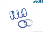 Evolution Drehmomentbogen (+15%) - blau - 243.102 - Polini