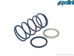 Evolution Torque Spring (+10%) - 243.093 - Polini