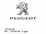 Filter - 1178840100 - Peugeot