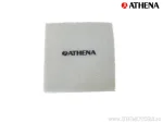 Filtru / element filtrant de aer Athena, Polaris Predator 500 03-07 - Athena