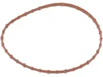 Fuel Pump Door Seal - Brown - 07010665