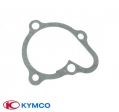 Garnitura capac pompa apa - Kymco Dink (Bet&Win) / Grand Dink / KXR / MXU / People / Xciting 4T LC 250-300-500cc - Kymco
