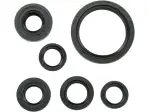 Guarnizioni olio motore - 09350023