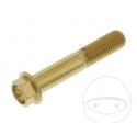 Hatlap hatlap Pro Bolt M10 x 1.25 x 55 mm inox A4 arany - JM