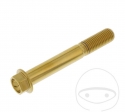 Hatlap hatlap Pro Bolt M10 x 1.25 x 70 mm inox A4 arany - JM