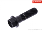 Hexagonal Cap Screw Pro Bolt M10 x 1.25 x 35 mm Black Titanium - JM