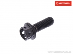 Hexagonal Cap Screw Pro Bolt M5 x 0.80 x 15 mm Titanium Racing Black - JM