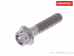 Hexagonal Cap Screw Pro Bolt M6 x 1.00 x 25 mm Titanium Racing - JM