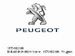 HT COIL - 1179182100 - Peugeot