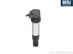 Ignition Coil - BMW R 1200 GS ABS LC Cast Wheel / R 1200 R ABS LC / R 1200 RS ABS LC / R 1200 RT ABS LC ESA - Beru