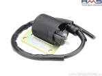 Inductiespoel - Aprilia Habana / SR 125 / Gilera Runner FX / FXR / Piaggio Typhoon / Hexagon ET4 / Zip - (RMS)