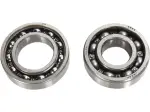 Kit cuscinetti contrappeso - 09500547