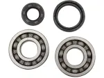 Kit cuscinetti e guarnizioni per albero motore principale - 09240052