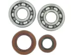Kit cuscinetti e guarnizioni per albero motore principale - 09240231
