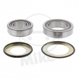 Kit cuscinetti manubrio - Honda FJS 600 Silver Wing ('01-'06) / SH 300 i ('08-'09) - TourMax
