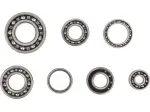 Kit cuscinetti trasmissione - 11060107