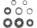 Kit cuscinetti trasmissione - 11060134