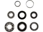 Kit cuscinetti trasmissione - 11060152