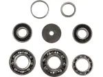 Kit cuscinetti trasmissione - 11060156