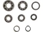 Kit cuscinetti trasmissione - 11060158