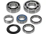 Kit cuscinetti trasmissione - 11060261
