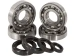 Kit cuscinetto e guarnizione per albero motore principale - 09240021