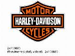 Kit cuscinetto e pista, volano - 24100080 - Harley-Davidson