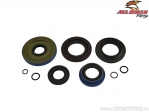 Kit de joint de différentiel - Polaris ACE 570EU ('17-'18) / ACE 570HD ('17-'19) - All Balls