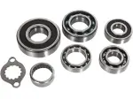 Kit de rolamentos de transmissão - 11060096