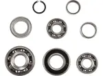 Kit de rolamentos de transmissão - 11060133