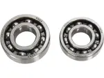 Kit de roulements d'équilibrage - 09500612