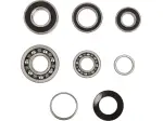 Kit roulements transmission - 11060153