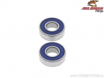Kit rulmenti si simeringuri roata spate - Aprilia RS 50 / KTM SX 50 / Suzuki RM 125 / RM 250 - (All Balls)