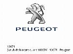 LOCKING SCREW WITH SPRING 103SPX - 13671 - Peugeot