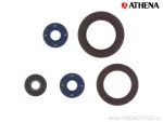 Motorolie keerringen kit - Can-Am Outlander 800 Max LTD ('08) / R800 Outlander Max EFI/XT/LTD ('09-'12) - Athena