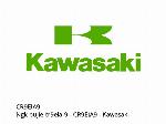 NGK vela de ignição CR9EIA-9 - CR9EIA9 - Kawasaki