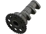 Nockenwelle Ansaugseite Stufe 1 - 09250034