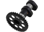 Nockenwelle Auslass Stufe 1 & 2 - 09251189