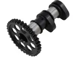 Nockenwelle Einlass Stufe 1 - 09251188