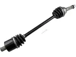 OEM Замяна Стандартна CV Ос - Черен, Суров - 02141659